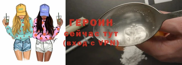 гидра Вяземский